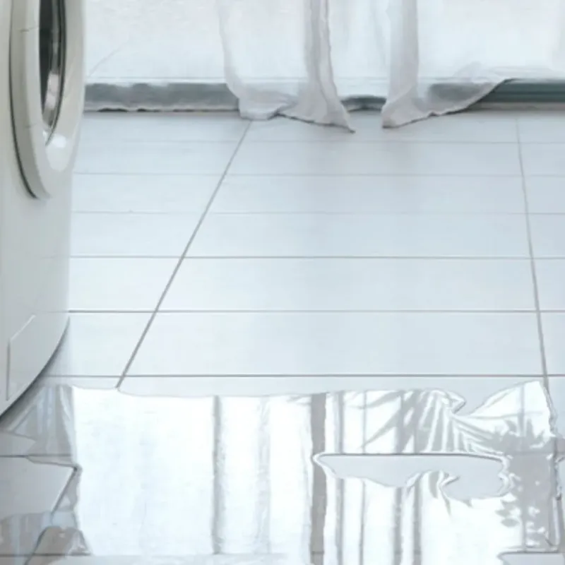 Appliance Leak Cleanup in Scott County, MO