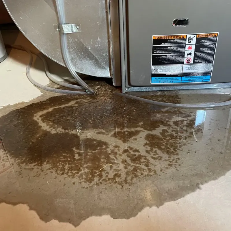 Pipe Burst and Leak Restoration in Scott County, MO