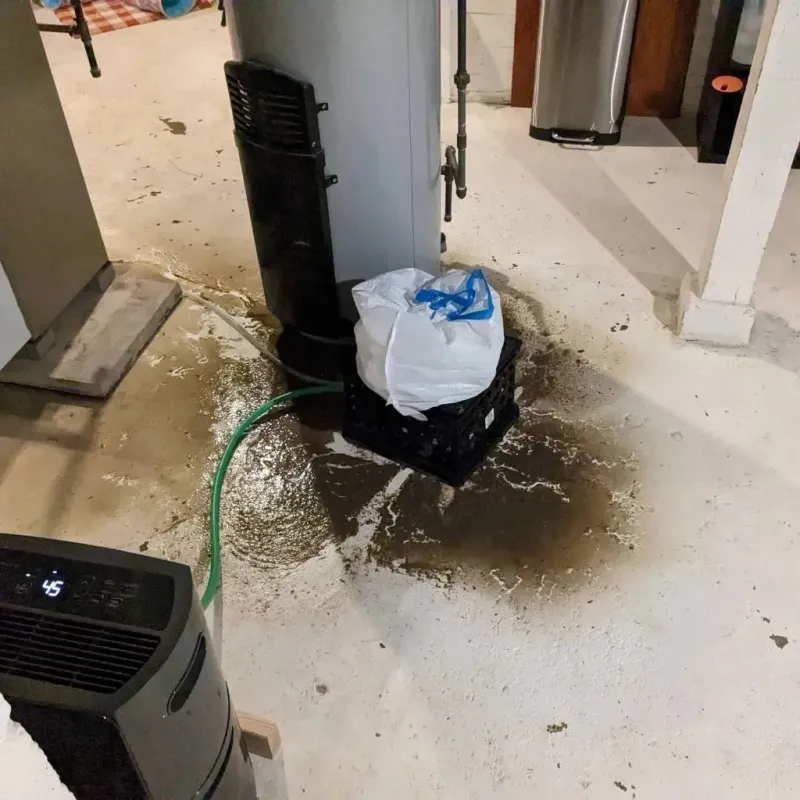 Sewage Backup Cleanup Service in Scott County, MO